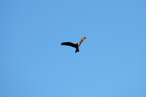 IMG_5652_RESIZED06_07_2015